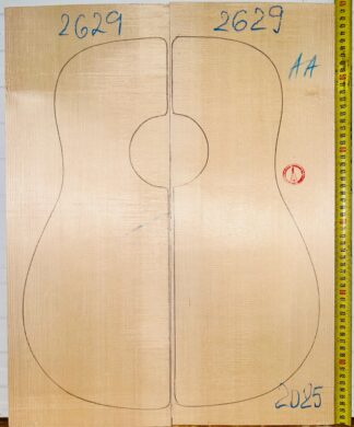 Guitar western No.2629 Top