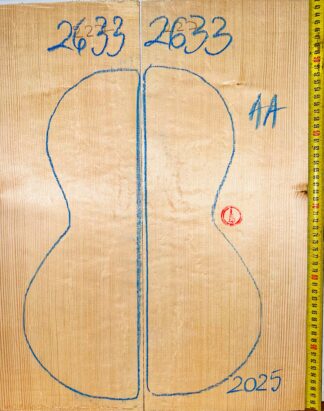 Ukulele/Parlor No.2633 Top