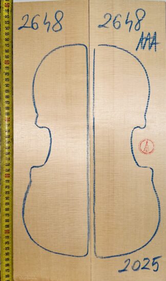 Violin No.2648 Top
