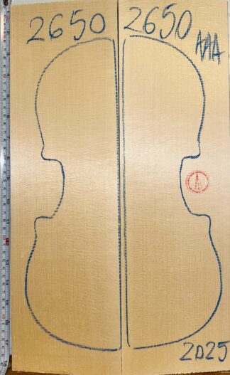 Violin No.2650 Top