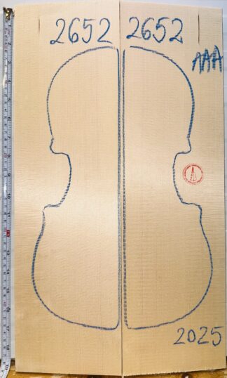 Violin No.2652 Top