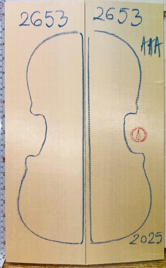 Violin No.2653 Top