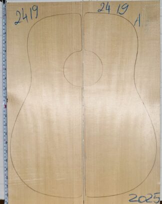 Guitar western No.2419 Top