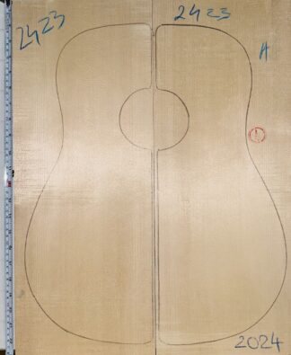 Guitar western No.2423 Top