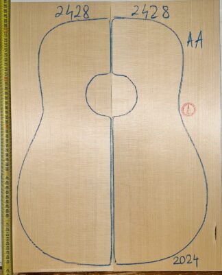 Guitar western No.2428 Top