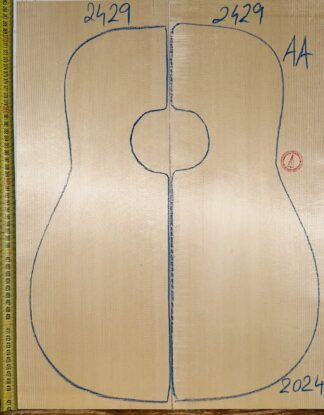 Guitar western No.2429 Top