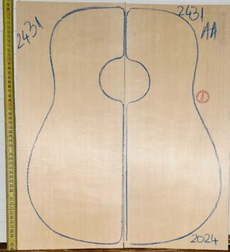 Guitar western No.2431 Top