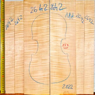 Violin No.2642 Back and Sides