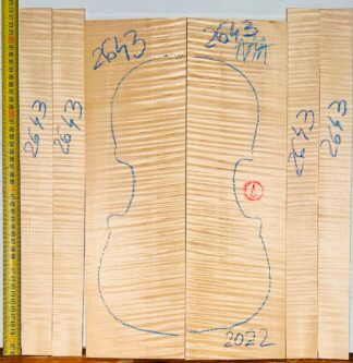 Violin No.2643 Back and Sides