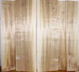 Double bass No.5001 Back and Sides