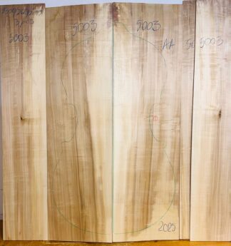 Double bass No.5003 Back and Sides