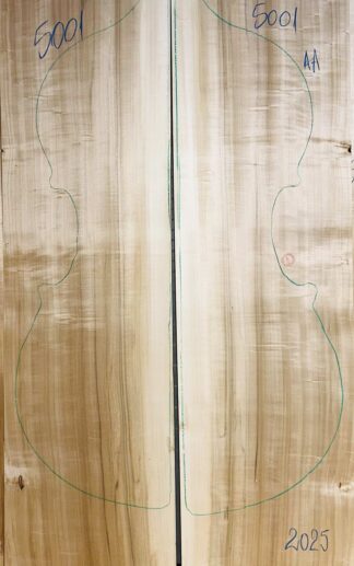 Double bass Lombardy Poplar Back and Sides