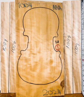 Violin No.1004 One piece Back and Sides