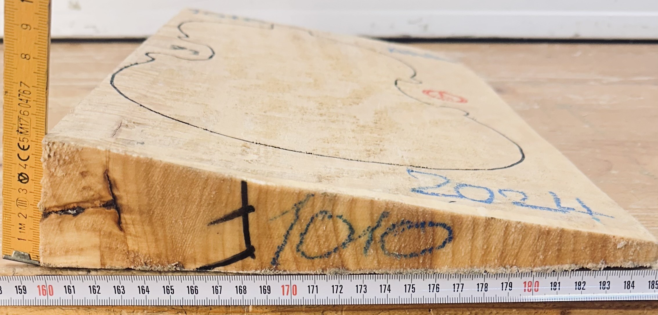 cut from Lombardy Poplar