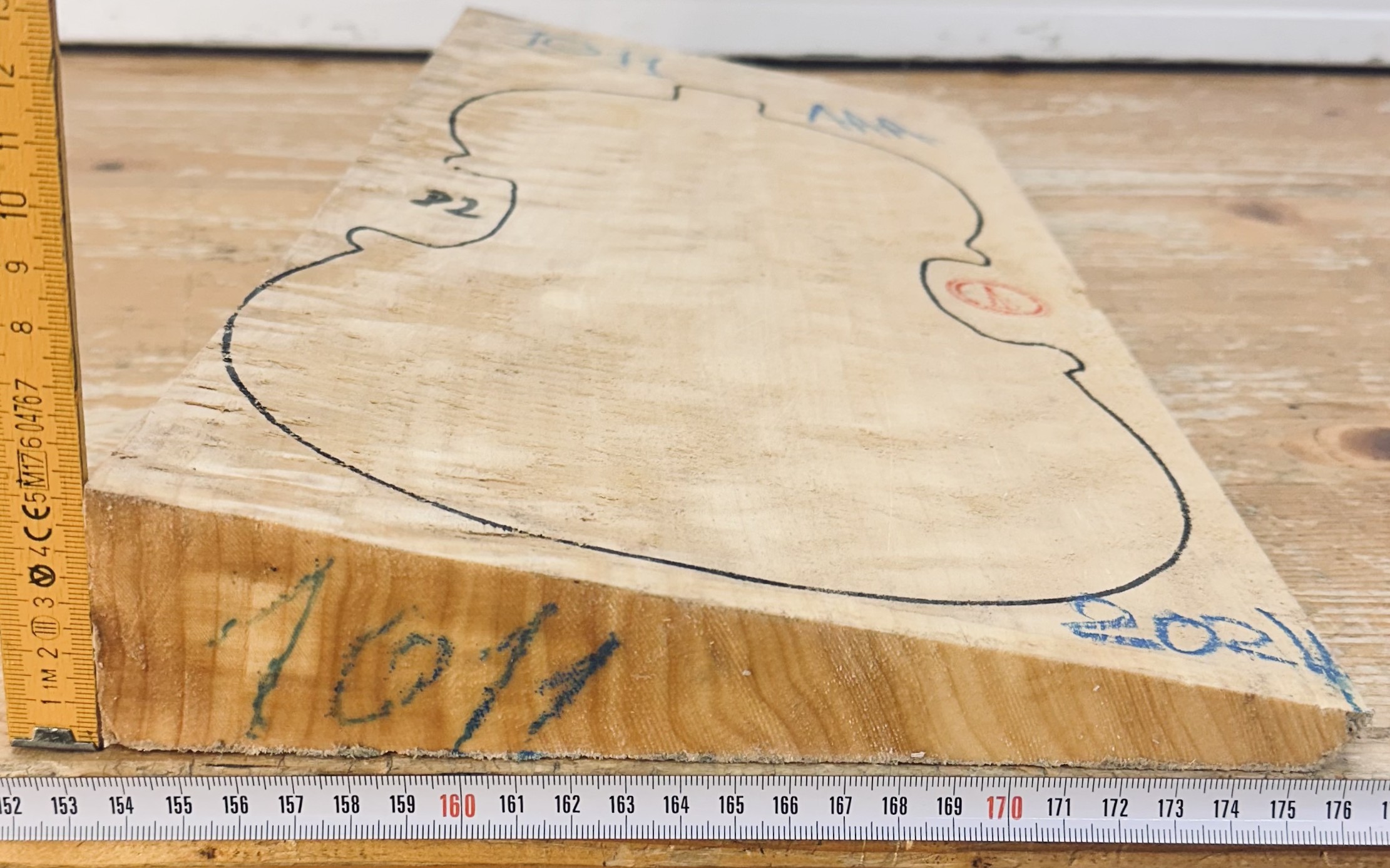 cut from Lombardy Poplar
