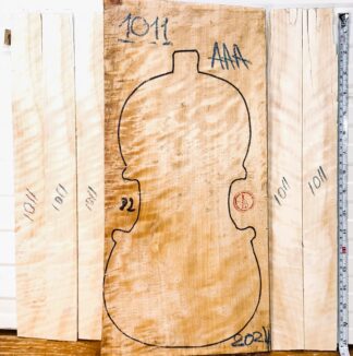 Violin No.1011 One piece Back and Sides