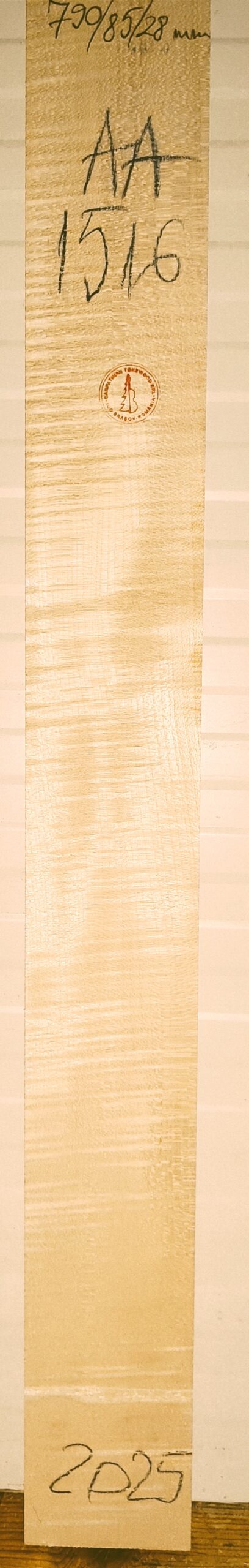 Guitar western No.1516 Neck