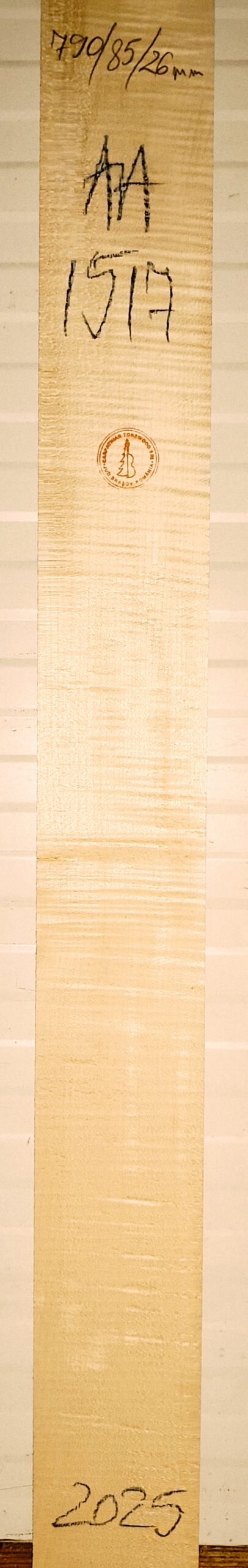 Guitar western No.1517 Neck