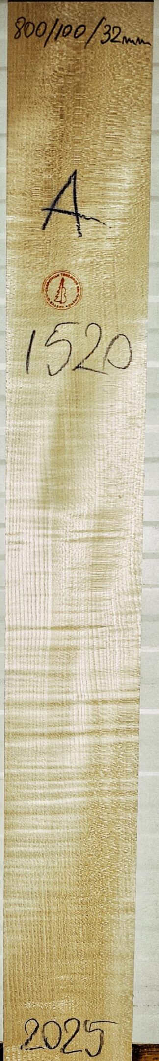 Curly maple Neck for Guitars, No. 1520,  A Grade