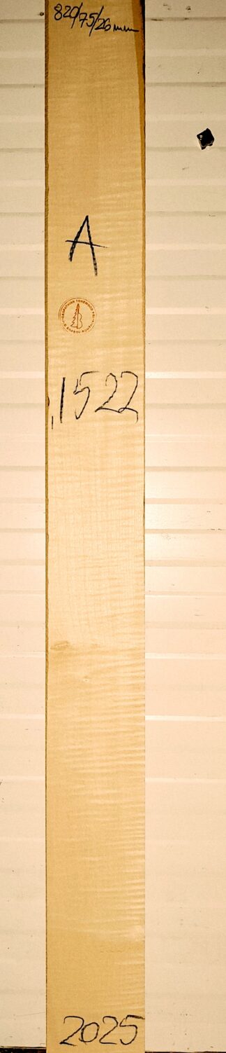 Guitar western No.1522 Neck