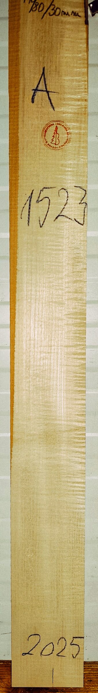 guitar neck