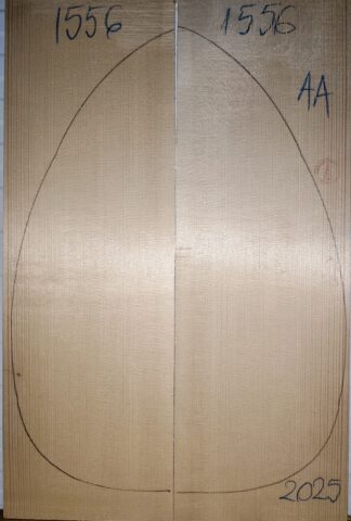 Lute No.1556 Top