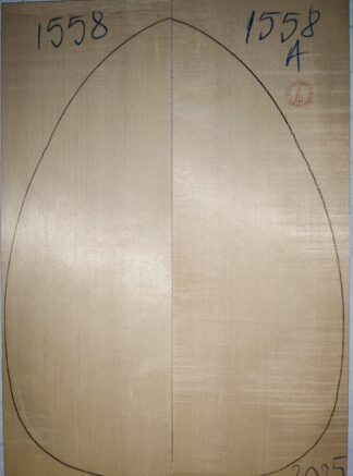 Lute No.1558 Top