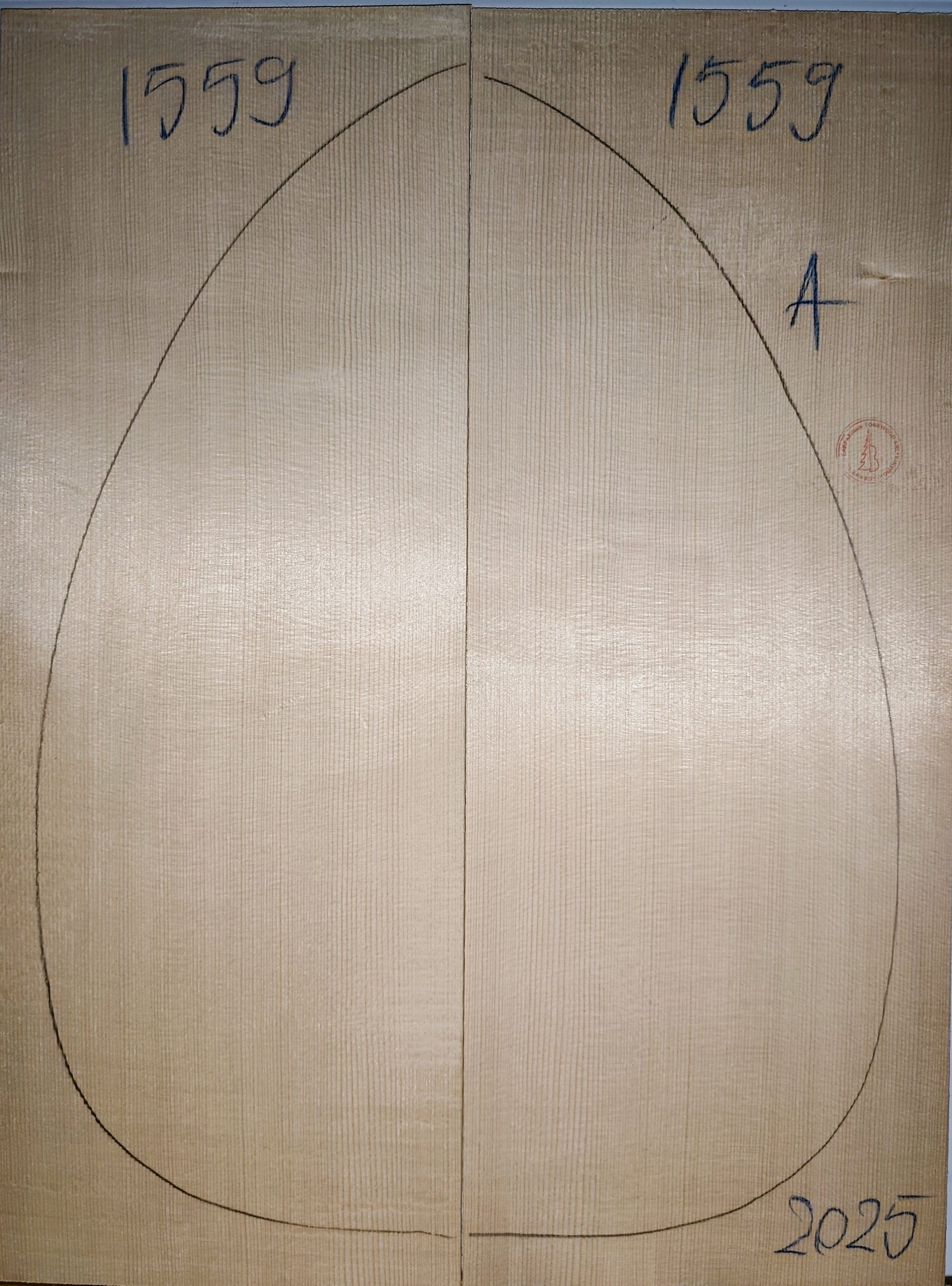 Lute No.1559 Top