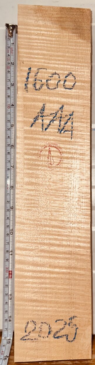 Violin No.1600 Neck