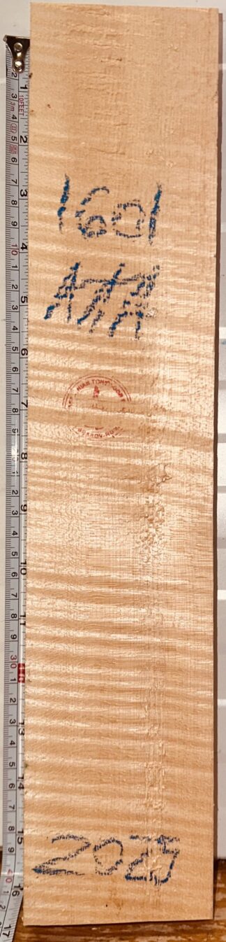 Violin No.1601 Neck