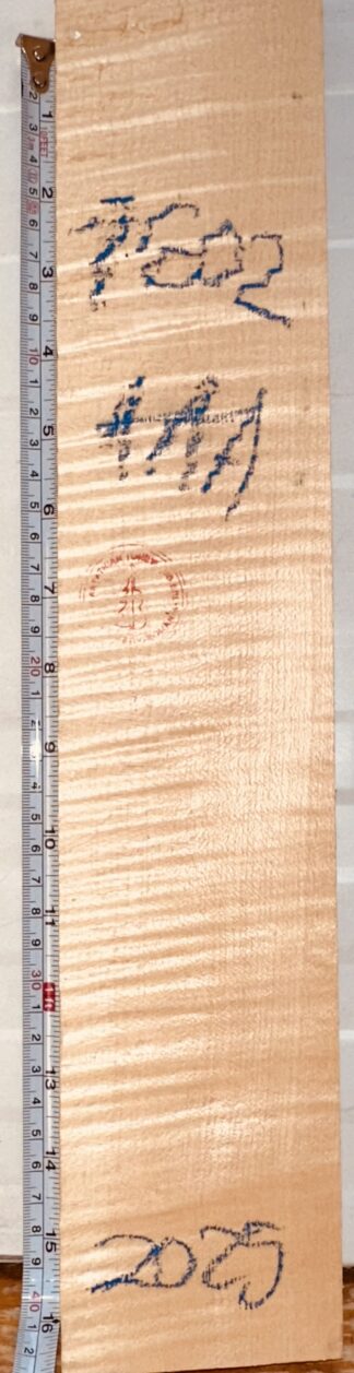 Violin No.1602 Neck