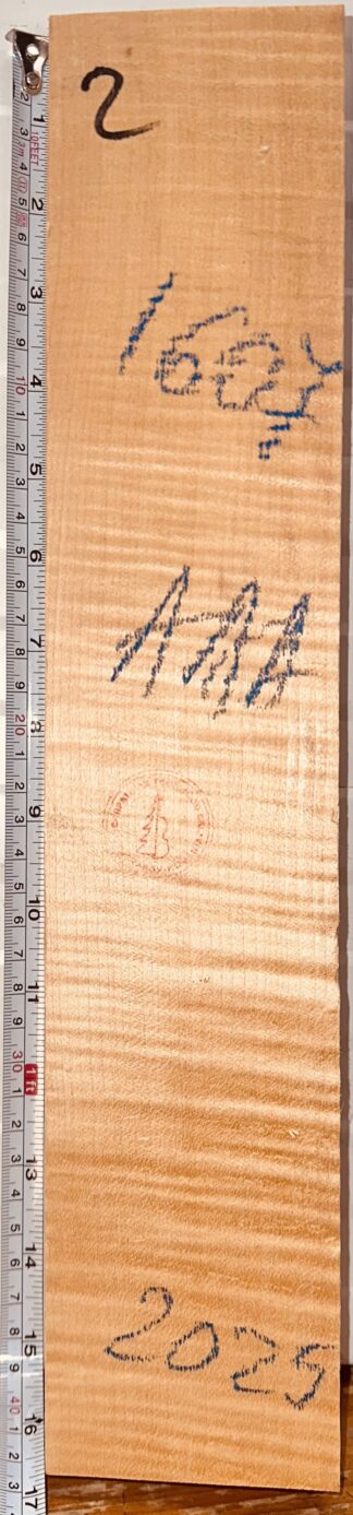 Violin No.1607 Neck