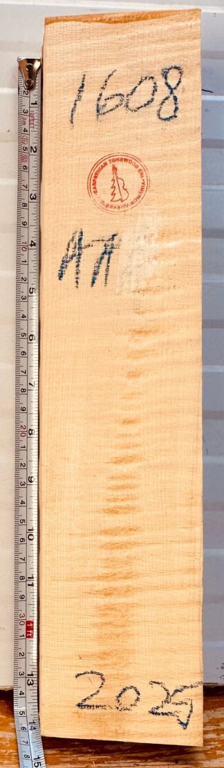 Violin No.1608 Neck