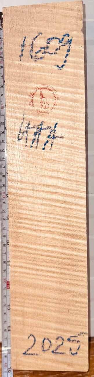 Violin No.1609 Neck