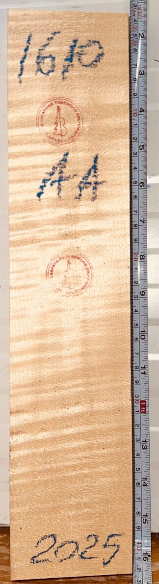 Violin No.1610 Neck