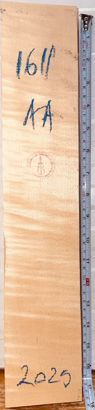 Violin No.1611 Neck