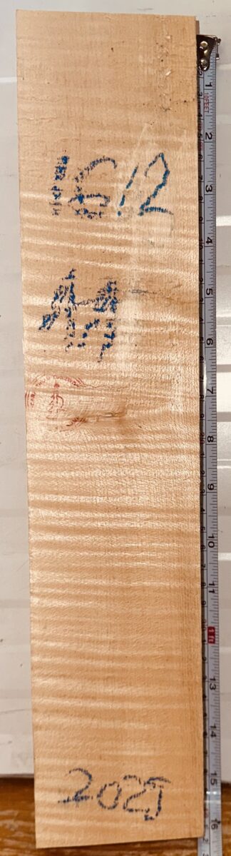 Violin No.1612 Neck