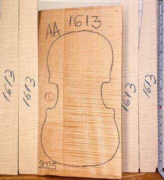 Violin No.1613 One piece Back and Sides