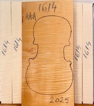 Violin No.1614 One piece Back and Sides