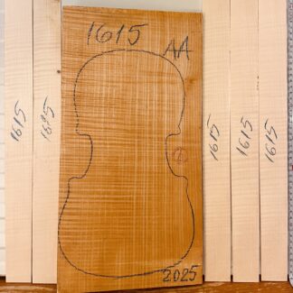 Violin No.1615 One piece Back and Sides