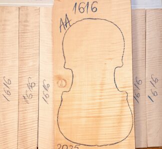 Violin No.1616 One piece Back and Sides