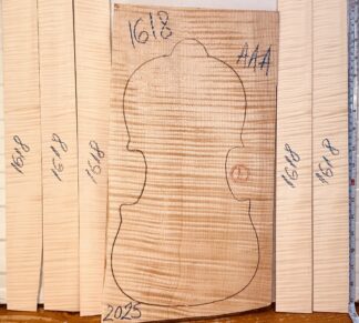 Violin No.1618 One piece Back and Sides