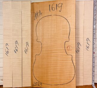 Violin No.1619 One piece Back and Sides