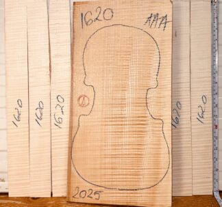 Violin No.1620 One piece Back and Sides