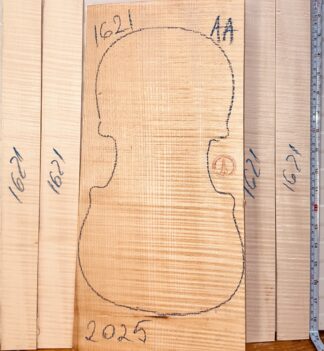 Violin No.1621 One piece Back and Sides