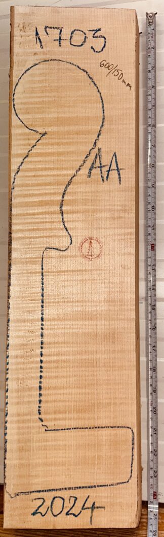 Cello No.1703 Neck