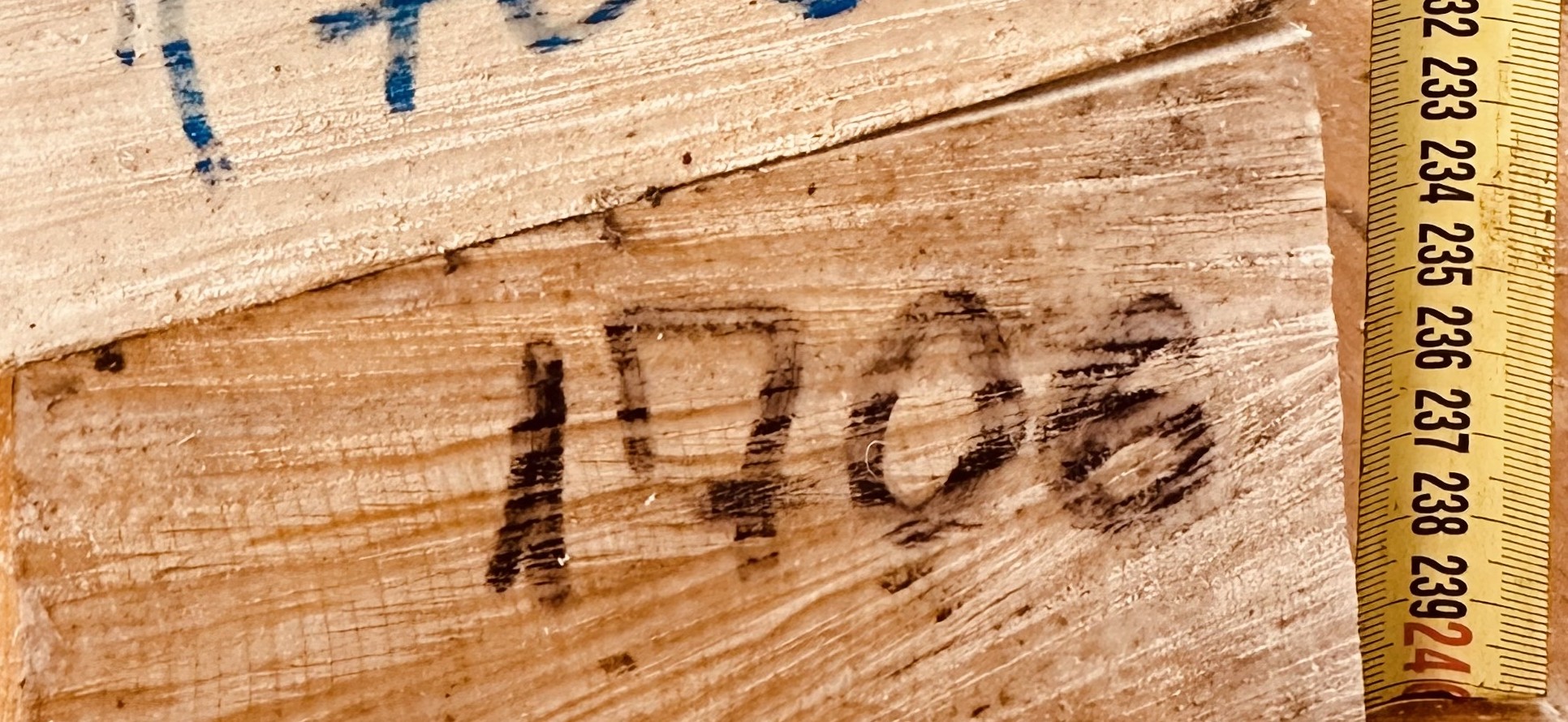 cut from Curly maple