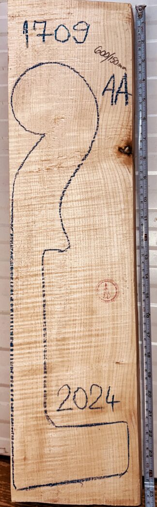 Cello No.1709 Neck