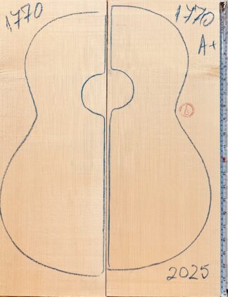 Classical guitar No.1770 Top
