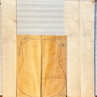 Archtop Guitar No.1801 Back and Sides